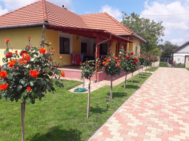 Steigerwald-Szabó Zsuzsanna és Steigerwald Roland kertje 04